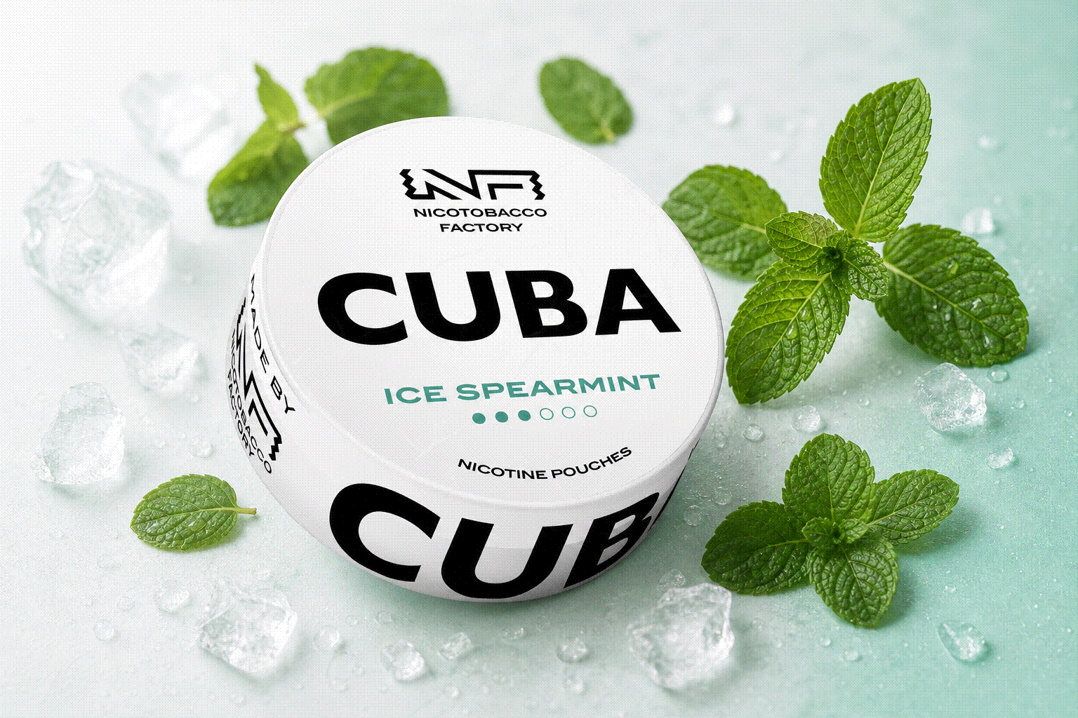 CUBA White Ice Spearmint - hình minh họa trong nội dung